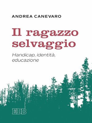 cover image of Il Ragazzo selvaggio
